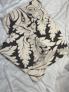 Pottery Barn Square Pillowcases (2)